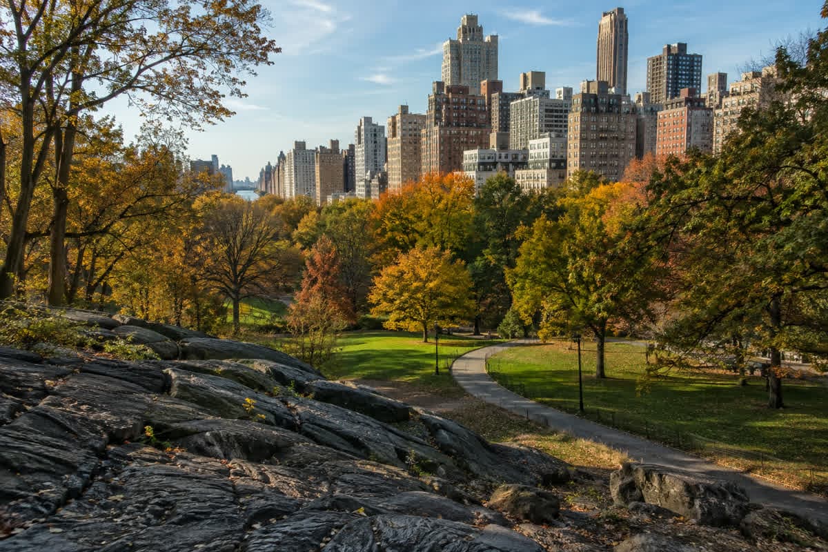 A Designed Landscape